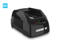 ECHO LC-56V2A Standard Charger