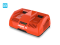 Echo LC-56V5A2 Dual Port Rapid Charger