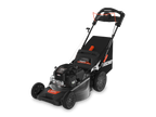 Echo LM-2116SP Walk Behind Gas Mower