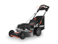 Echo LM-2119SP Walk Behind Gas Mower