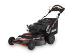 Echo LM-3022SP Walk Behind Gas Mower