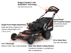 Echo LM-3022SP Walk Behind Gas Mower