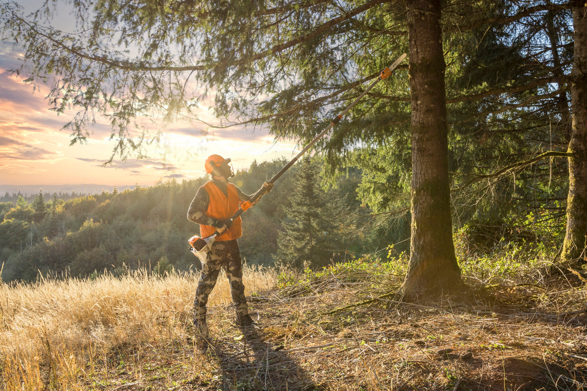 Stihl HT 135 Telescoping Pole Pruner | 14" bar, 36.3cc
