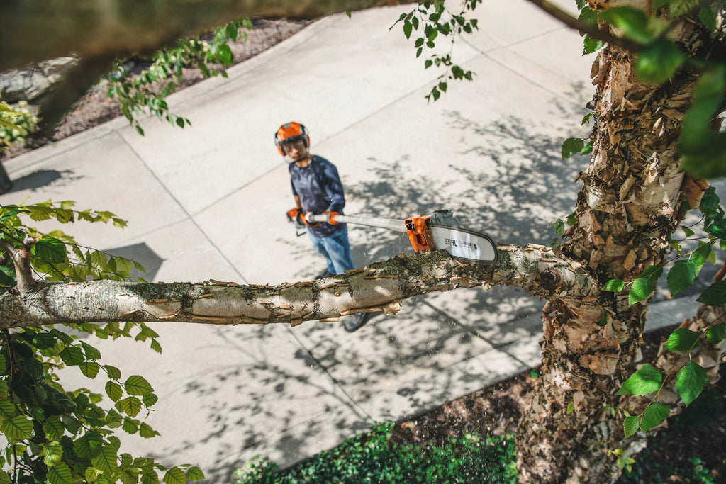 Stihl HT 135 Telescoping Pole Pruner | 14" bar, 36.3cc