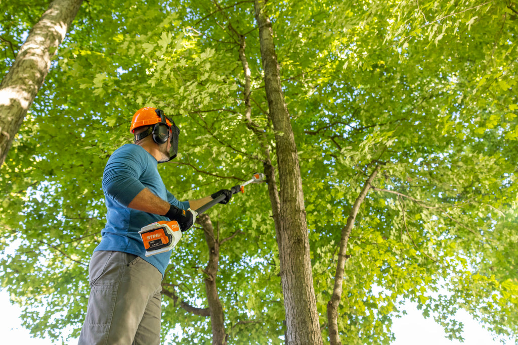 Stihl HTA 50 Battery Powered Pole Pruner | Unit Only | AK Series