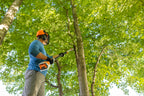 Stihl HTA 50 Battery Powered Pole Pruner | Unit Only | AK Series