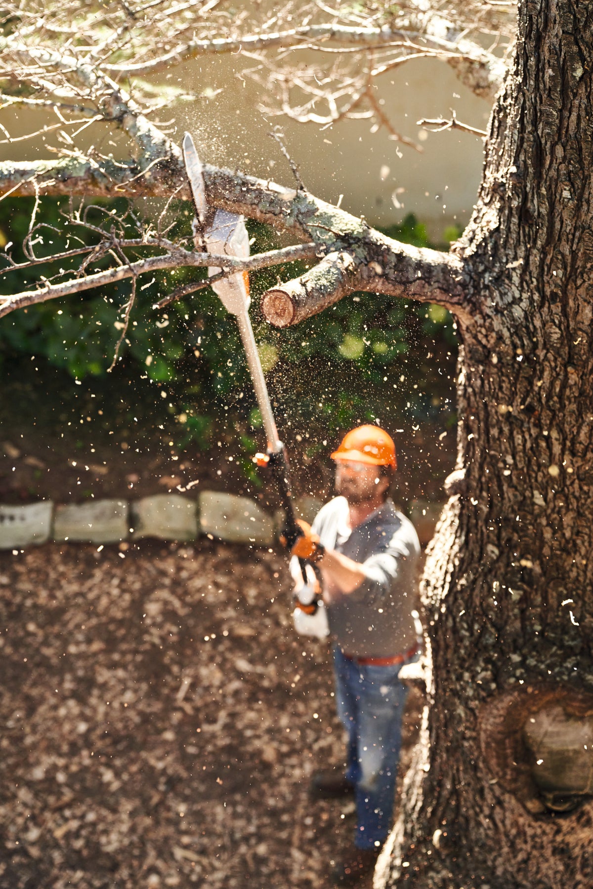 Stihl HTA 50 Battery Powered Pole Pruner | Unit Only | AK Series