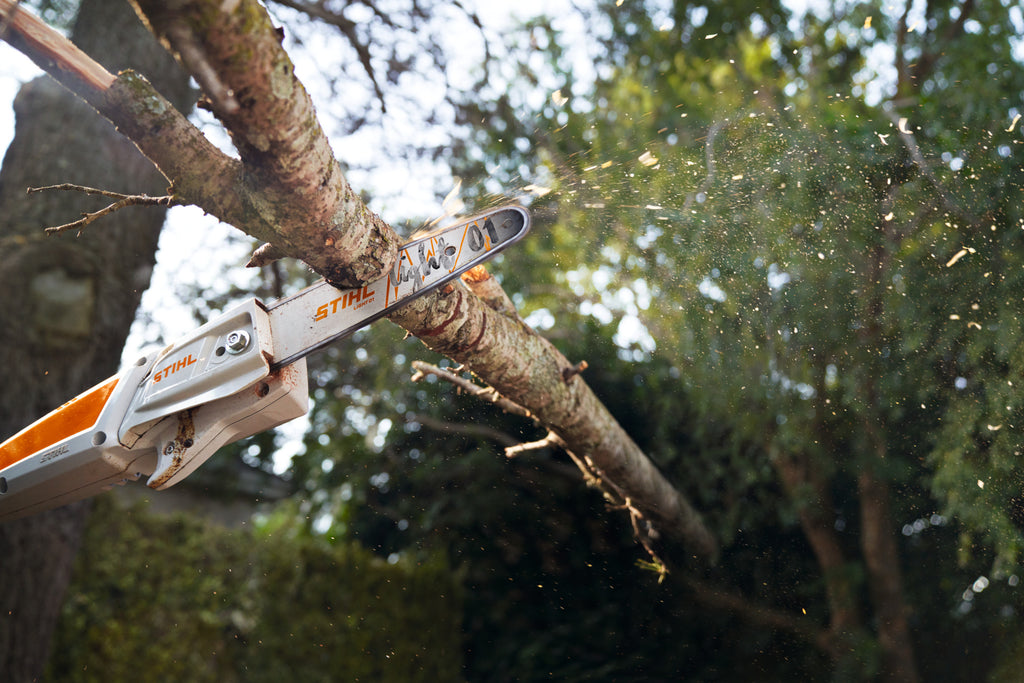 Stihl HTA 50 Battery Powered Pole Pruner | Unit Only | AK Series