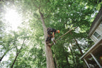 Stihl MS 151 T C-E Gas Chainsaw | 12" Guide Bar