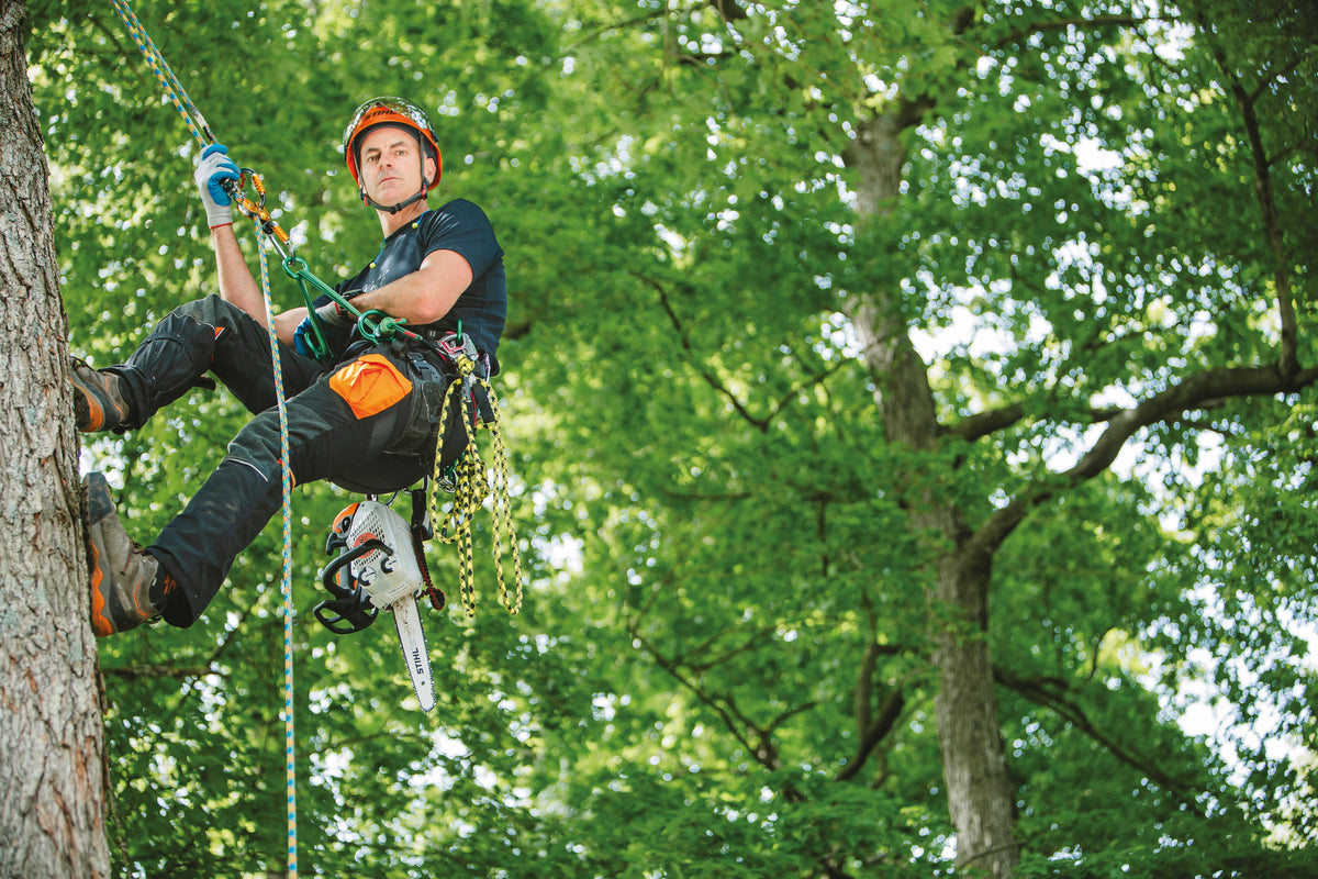 Stihl MS 151 T C-E Gas Chainsaw | 12" Guide Bar