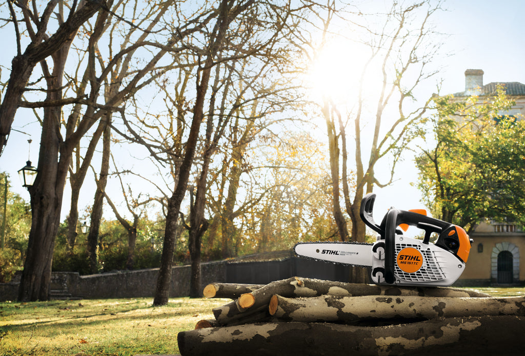 Stihl MS 151 T C-E Gas Chainsaw | 12" Guide Bar