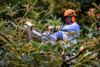 Stihl MS 194 T Gas Chainsaw