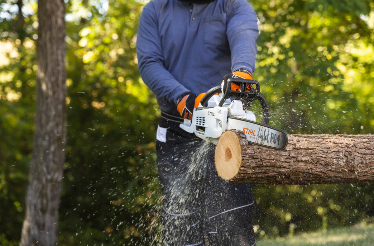 Stihl MS 201 C E-M Gas Chainsaw