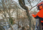 Stihl MS 201 T-CM Gas Chainsaw | Up to 16", 3/8" Pitch .050" Gauge