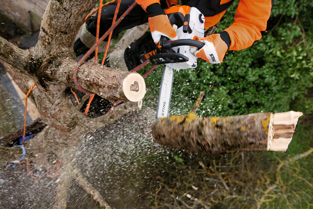 Stihl MS 201 T-CM Gas Chainsaw | Up to 16", 3/8" Pitch .050" Gauge