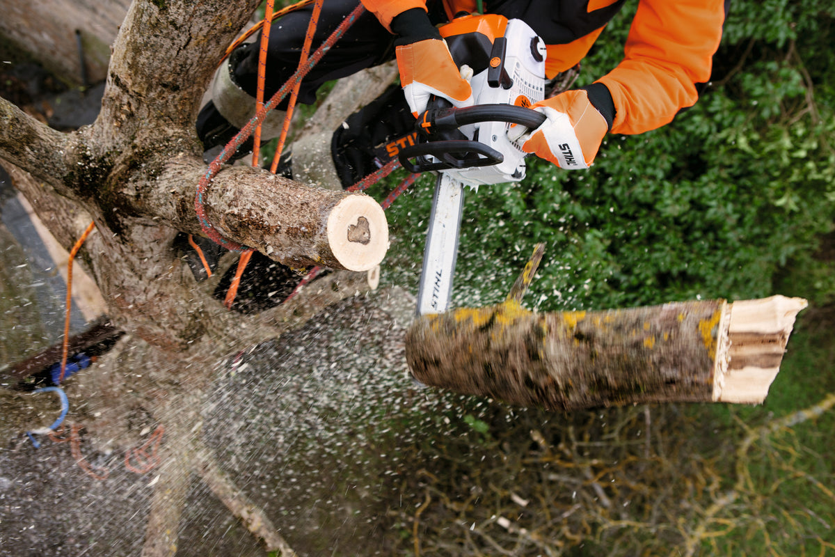Stihl MS 201 T-CM Gas Chainsaw | Up to 16", 3/8" Pitch .050" Gauge