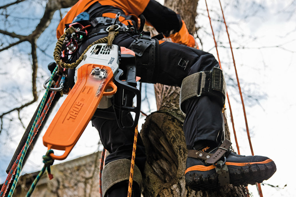 Stihl MS 201 T-CM Gas Chainsaw | Up to 16", 3/8" Pitch .050" Gauge