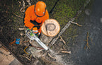 Stihl MS 201 T-CM Gas Chainsaw | Up to 16", 3/8" Pitch .050" Gauge