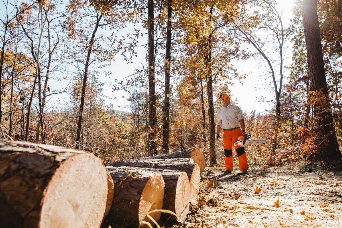 Stihl MS 311 Gas Chainsaw | Up to 25" Guide Bar 3/8" Pitch .063" Gauge