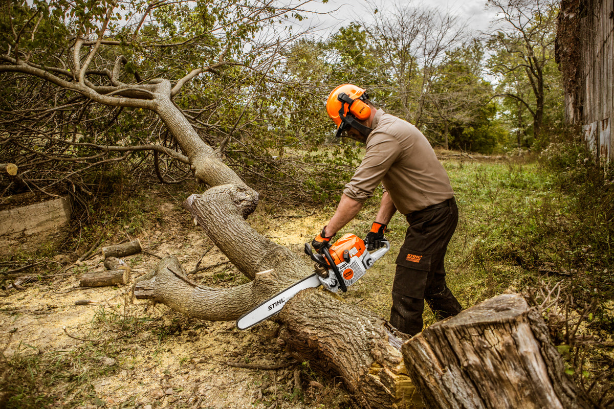 Stihl MS 362 Gas Chainsaw | Up to 25" Bar 3/8" Pitch Rapid Super 3
