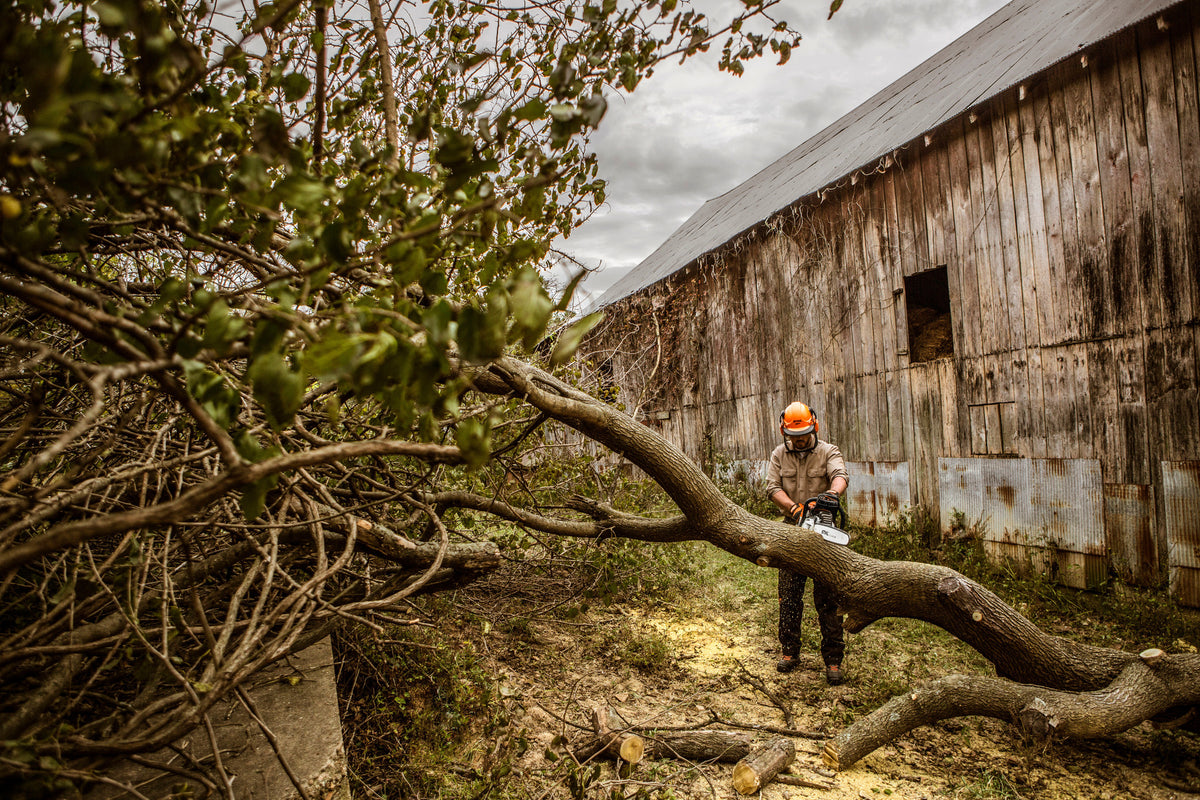 Stihl MS 362 Gas Chainsaw | Up to 25" Bar 3/8" Pitch Rapid Super 3