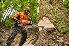 Stihl MS 881 Magnum Gas Chainsaw | Up to 41" guide bar | .404" Pitch .063" Gauge