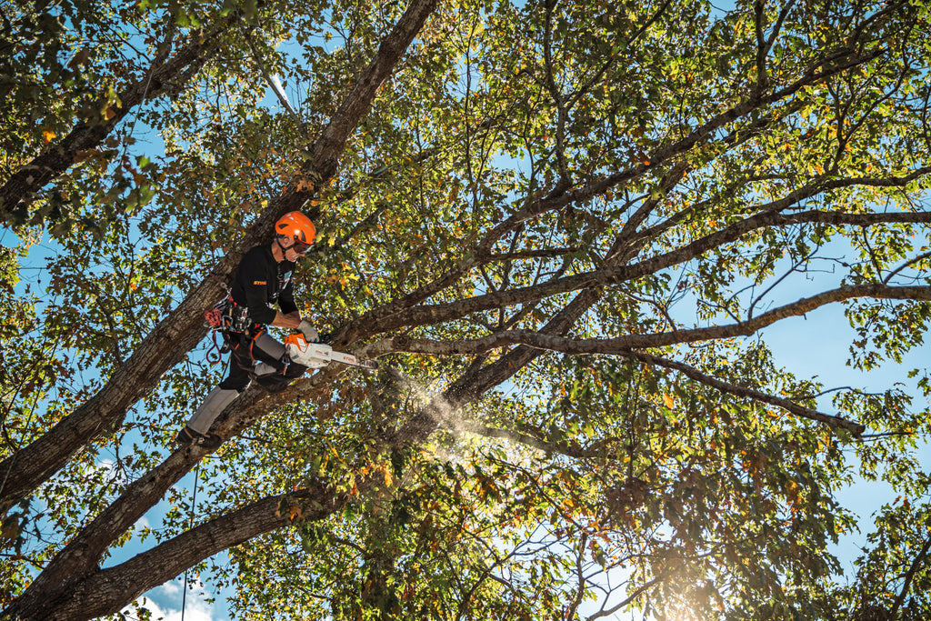 Stihl MSA 220 TC-O Battery Powered Chainsaw | Unit Only
