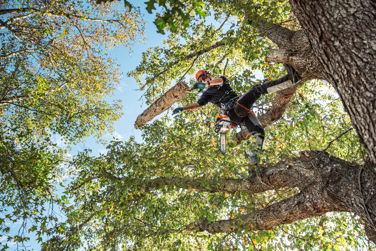 Stihl MSA 220 TC-O Battery Powered Chainsaw | Unit Only