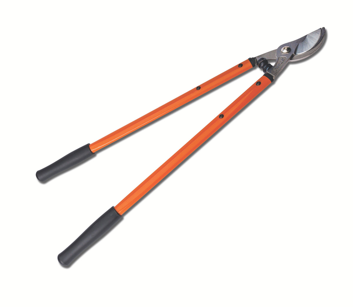 Stihl PL 5 Handheld Lopper
