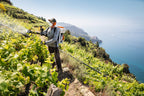 Stihl SR 200 Gas Backpack Sprayer